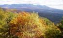 車山高原の秋紅葉