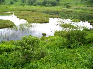八島湿原の鎌ヶ池