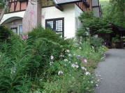 リゾートイン・レアメモリーの前庭のヤナギランとギボウシ